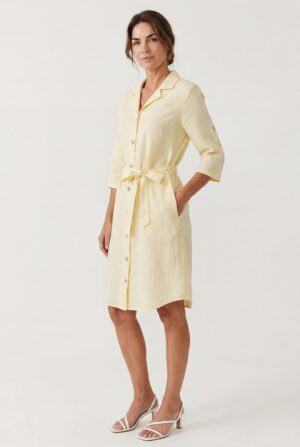 Shirt Dress