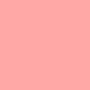 Treasurie Top - salmon pink