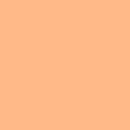 Swiss Dot Carmen Top - peach