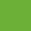 Summer Shorts - apple green funky print